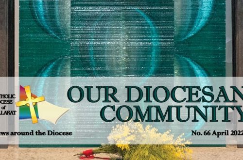 Our Diocesan Community Header