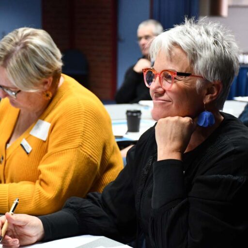 DSC 6592 Participants engaged in learning about Respectful Relationships education.