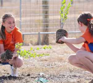 Image RSSA25 Finalist Siena Catholic PS